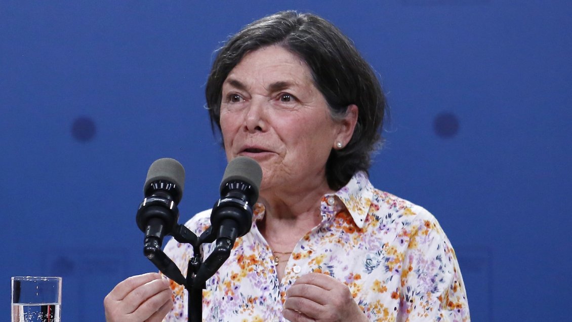 Saball: No hay nada en contra de las forestales, buscamos que convivan armónicamente