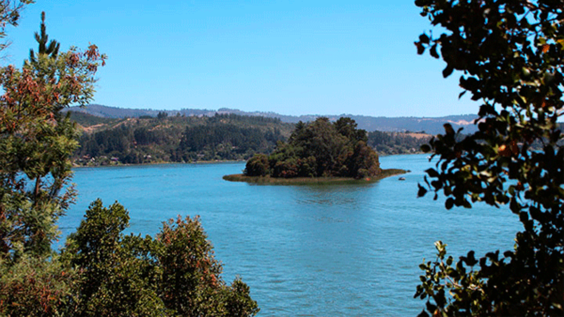 Alcalde advirtió una posible clausura del lago Vichuquén por contaminación del agua