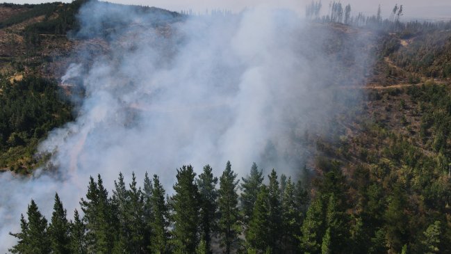 Cortes de tránsito en la Ruta de la Madera por avance de incendios forestales