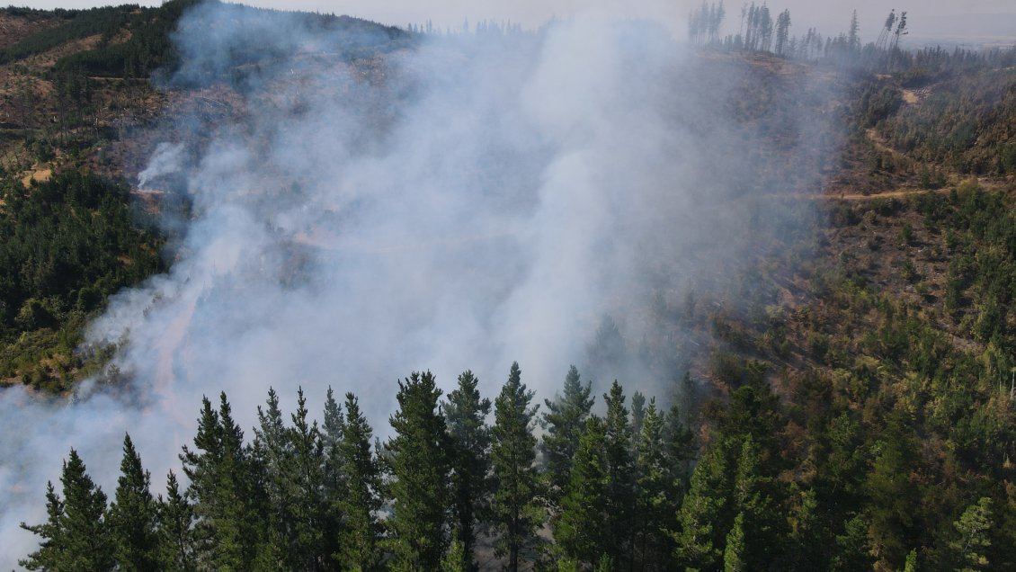 Cortes de tránsito en la Ruta de la Madera por avance de incendios forestales
