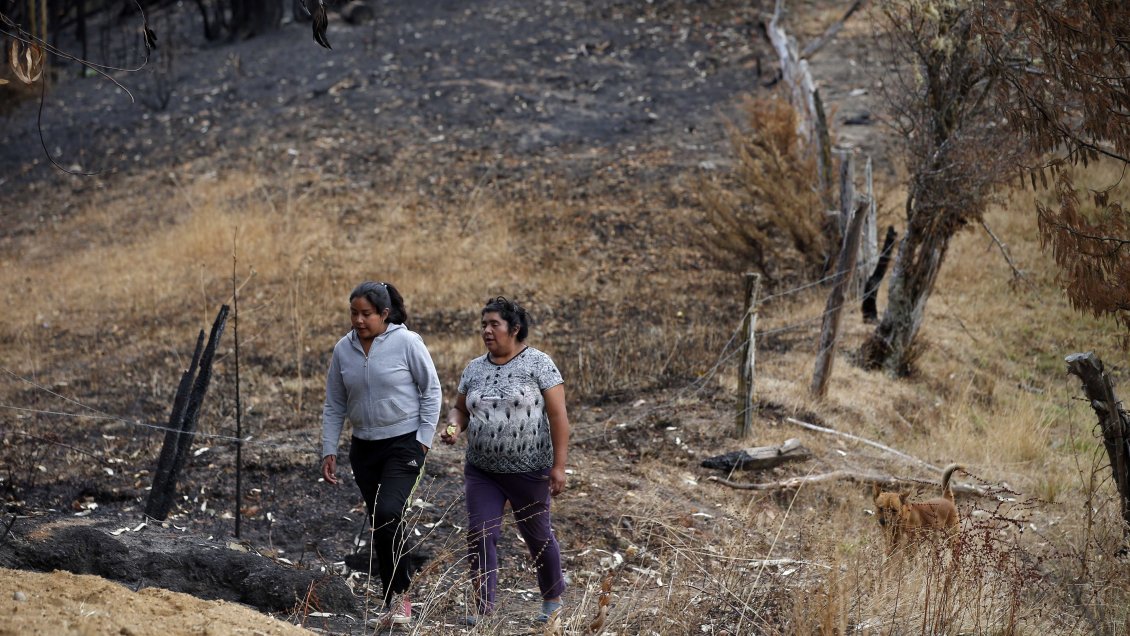 AChM pide al Presidente Boric un fondo especial para municipios más afectados por los incendios forestales