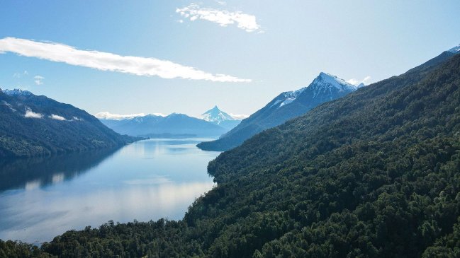   Genau Green y la eco-inversión en el sur de Chile: Rentabilizar tu patrimonio mientras cuidas el planeta 