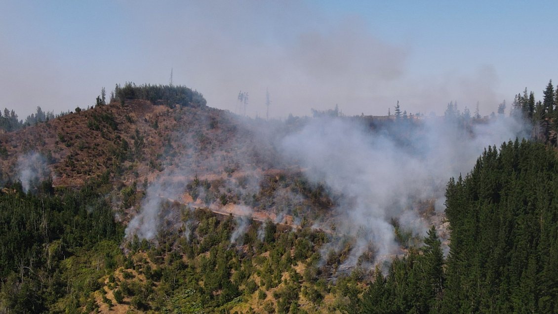 Conaf: Factor intencional es clave en 41% de incendios investigados en el Biobío y La Araucanía