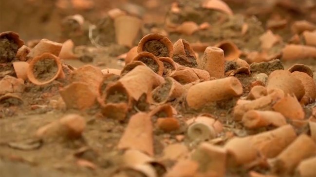 Descubren sistema de regadío en antigua ciudad china de hace 5.000 años