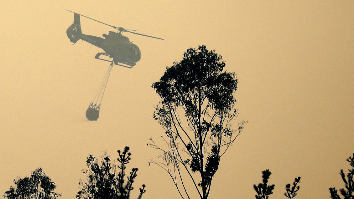 Dos incendios forestales afectan a San Pedro en la Región Metropolitana