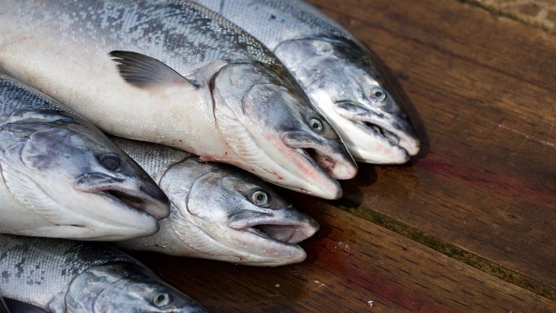 SMA abrió procesos sancionatorios contra dos salmoneras por sobreproducción en áreas protegidas