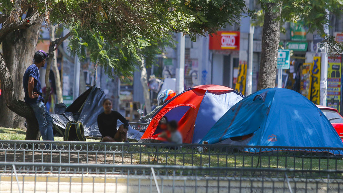 Intervención ha reducido en 92% presencia de carpas en el eje Alameda-Providencia
