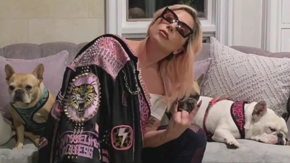 Lady Gaga recibió insólita demanda por parte de involucrada en el secuestro de sus perros