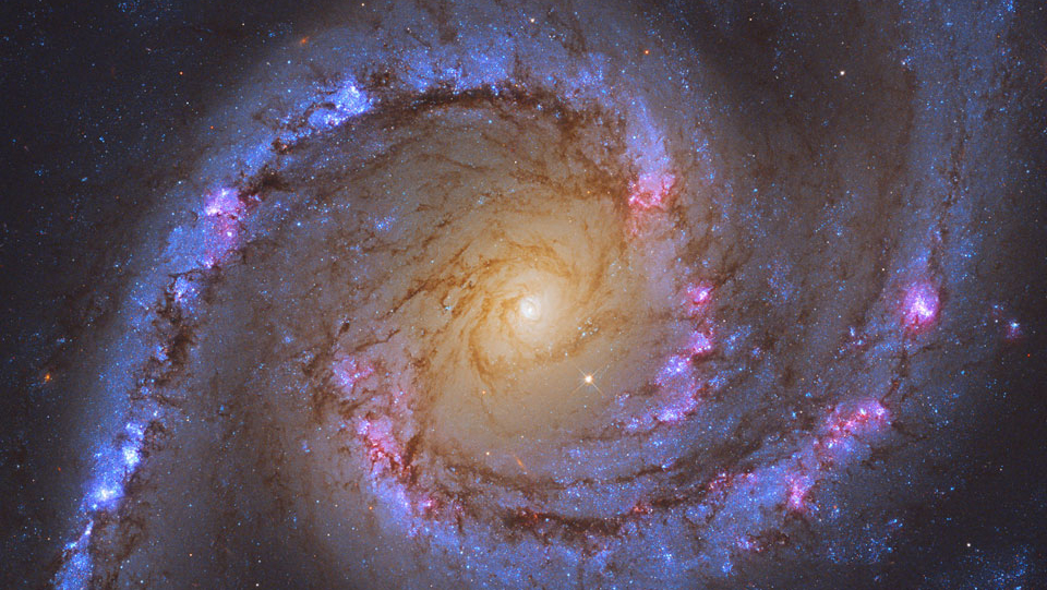 Observan casualmente la explosión de una supernova en la 