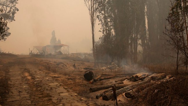 Comunidad china en Chile donó más de 20 toneladas en ayuda para damnificados por los incendios