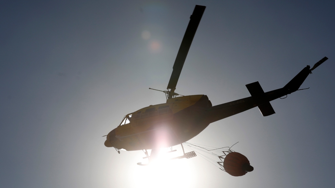 Superficie afectada por incendios forestales supera las 439 mil hectáreas