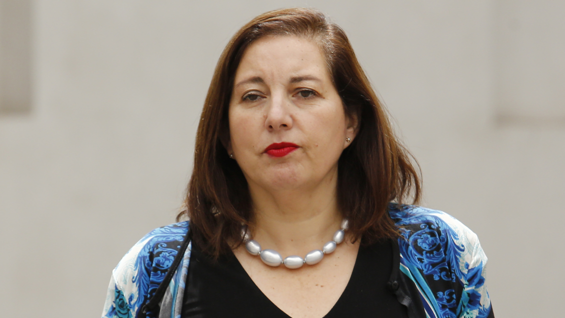 Vodanovic: Lo que requiere el Gobierno es adaptarse a las circunstancias sin perder el norte