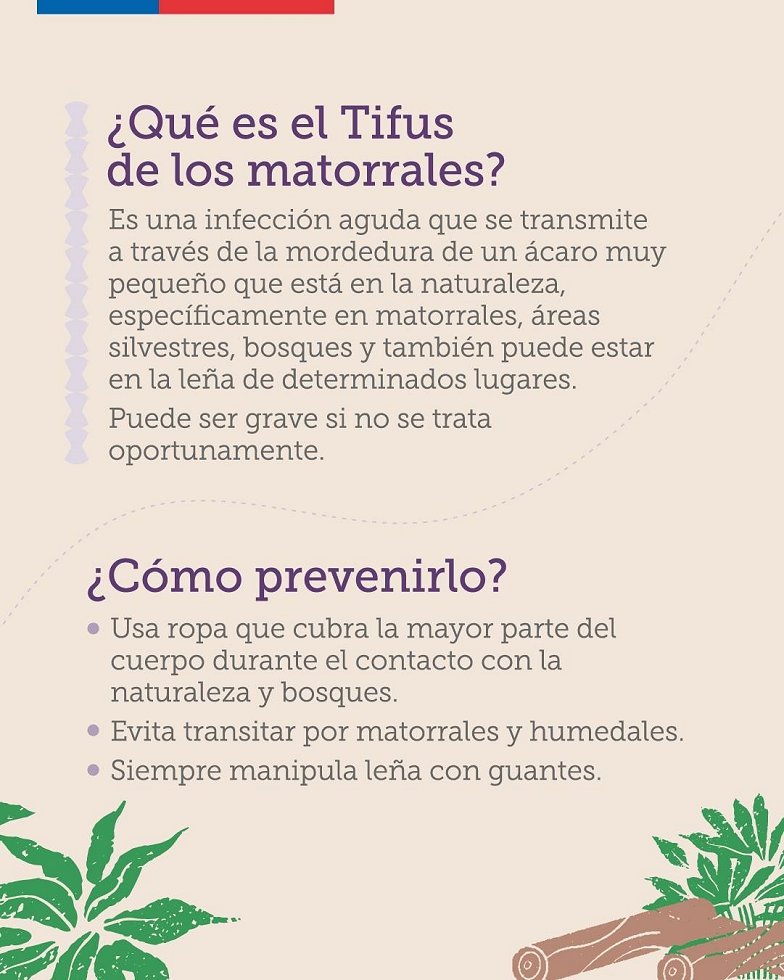 Imagen foto_00000001