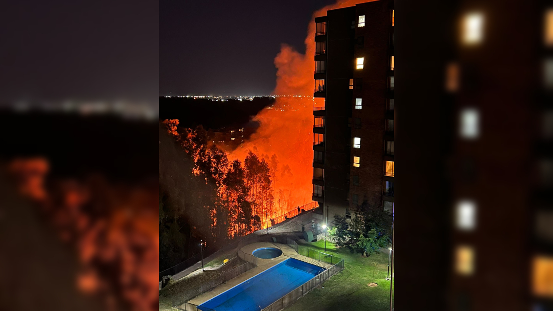 San Pedro de la Paz: Piden evacuar sector de la Península de Andalué por incendio forestal