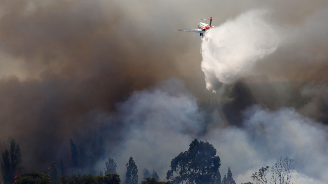 El desolador balance a un mes de iniciada la catástrofe de los incendios forestales