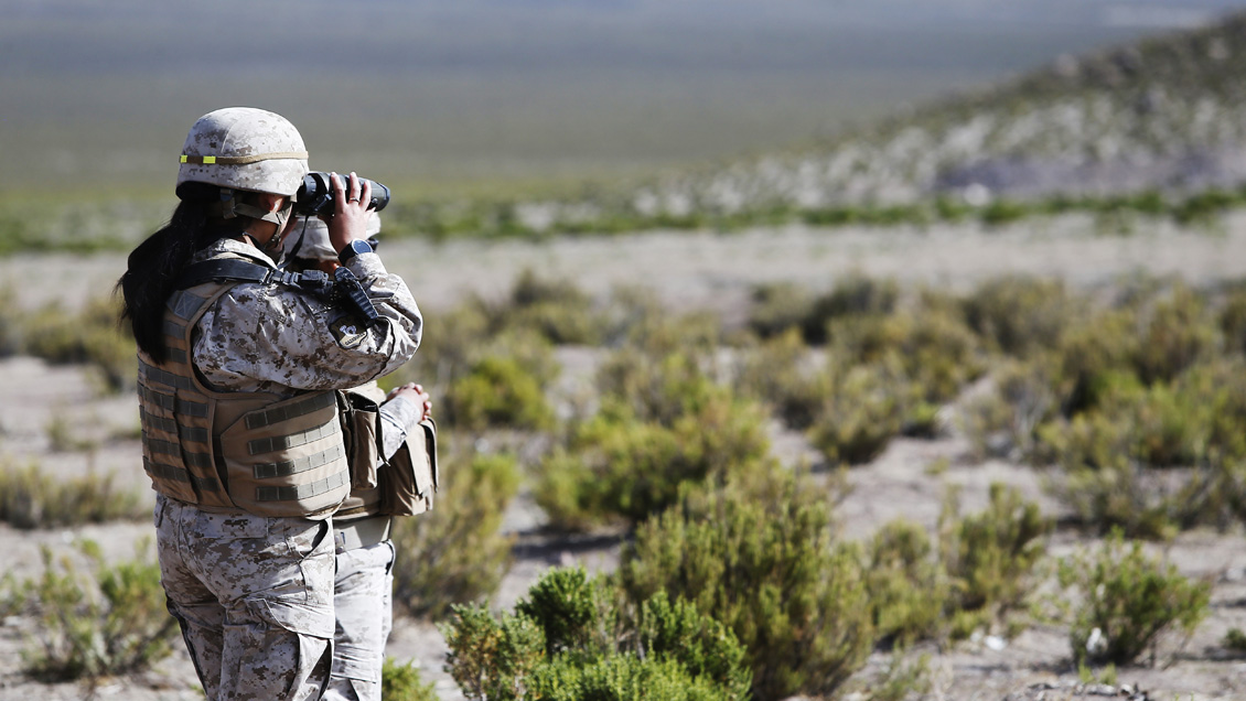 Tres detenidos y 11 reconducidos en Antofagasta en primera semana de despliegue militar
