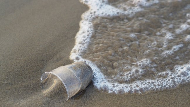  La concentración de plástico en los océanos ha experimentado un 