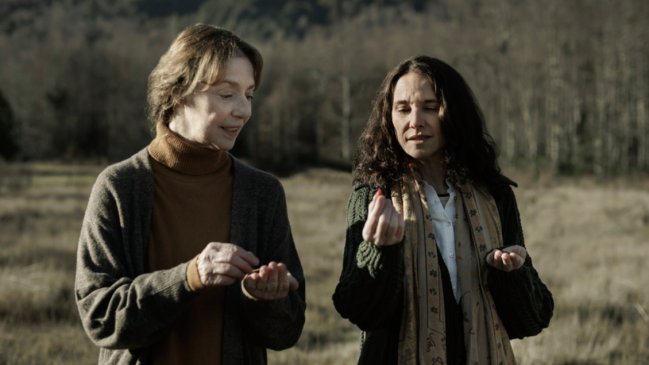 Chile recibe múltiples nominaciones a los Premios Platino 2023