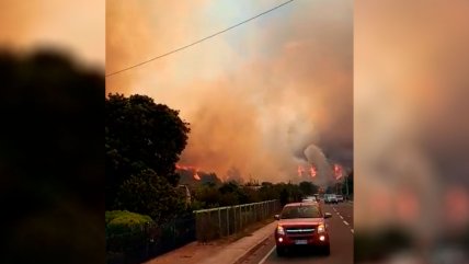   Declaran alerta roja por incendio forestal en Navidad 