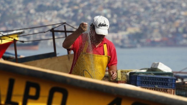 Explosión en altamar cercenó mano a pescador en Coquimbo