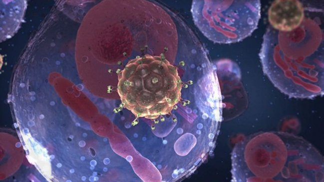  La primera mujer curada de VIH: Fue gracias a células madre de cordón umbilical  