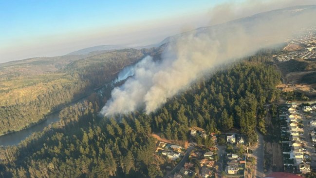 Alerta roja en Valparaíso por tres focos de incendio forestal: Se presume intencionalidad