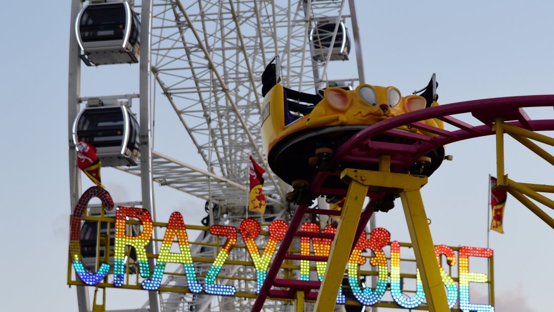 Estampida humana en una feria de Miami por miedo a un tiroteo