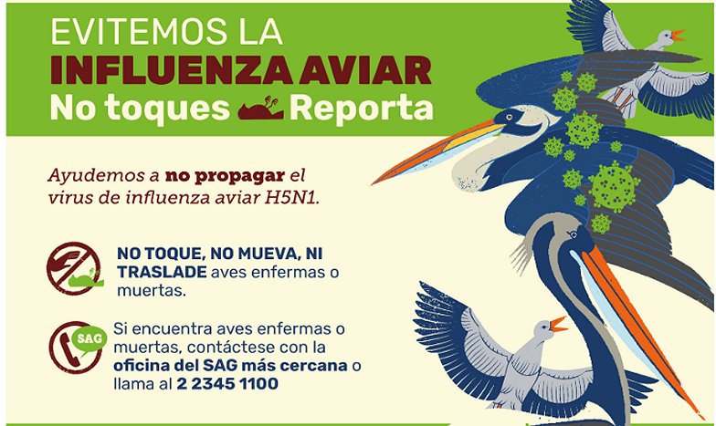 Imagen foto_00000011