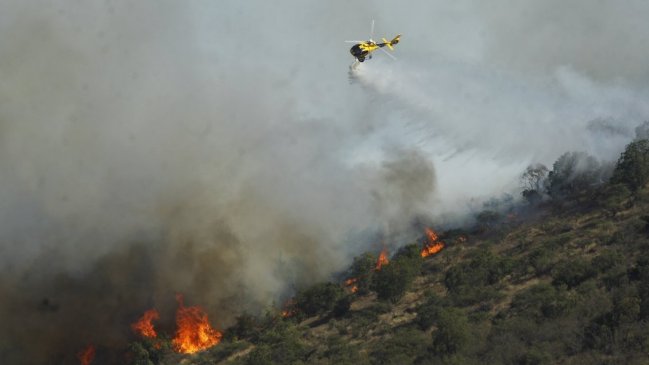   Incendio forestal consume más de 100 hectáreas en Melipilla 