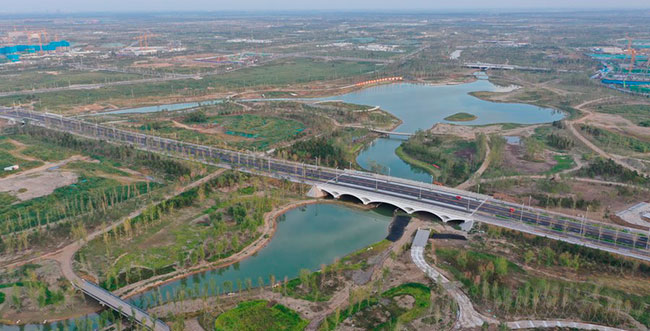 Imagen foto_00000003