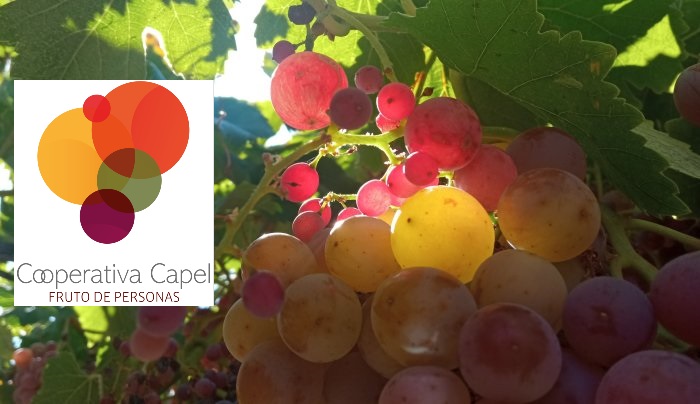 Imagen foto_00000005