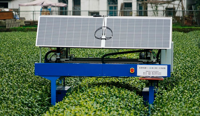 Imagen foto_00000002