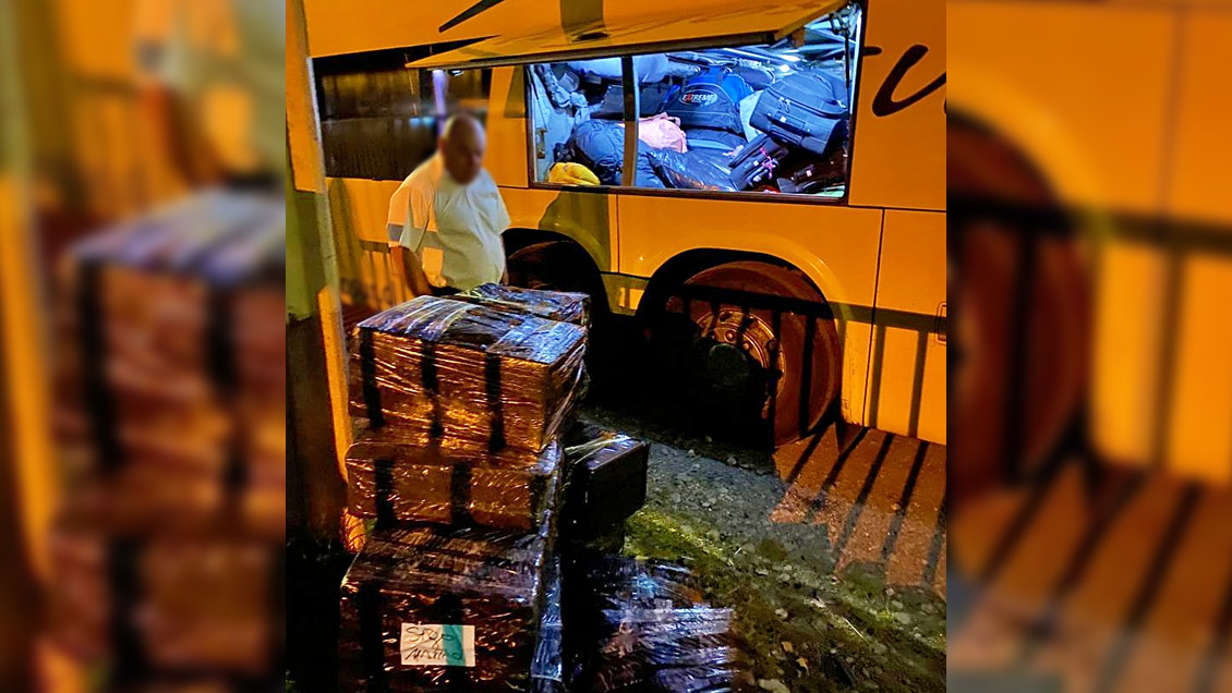 Incautan 200 pescados que eran transportados en condiciones insalubres en un bus