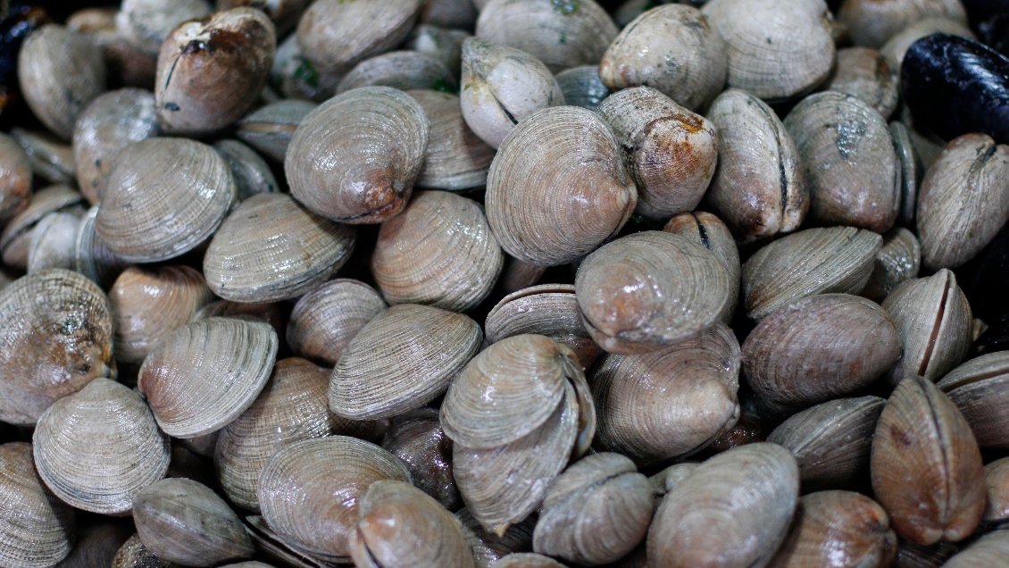 Semana Santa: Autoridades han incautado 20 toneladas de productos del mar en Los Lagos