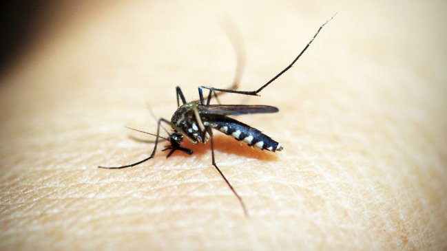  Los casos de dengue en Argentina crecieron un 75 % en una semana: 28.235 contagiados  