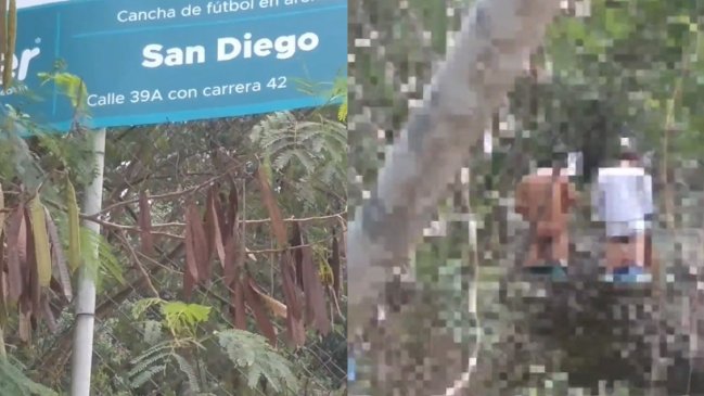 Escándalo por video: Tres personas fueron grabadas teniendo sexo en un parque