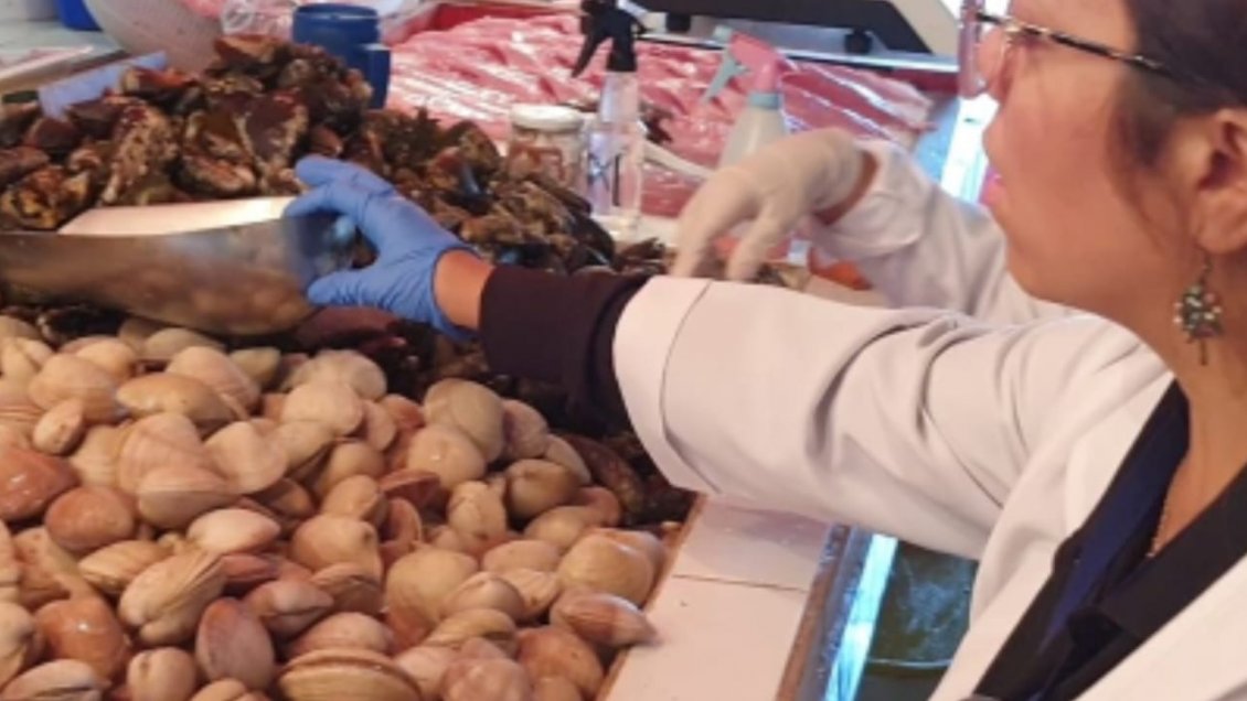 Salud cursó 29 sumarios sanitarios durante Semana Santa en Antofagasta