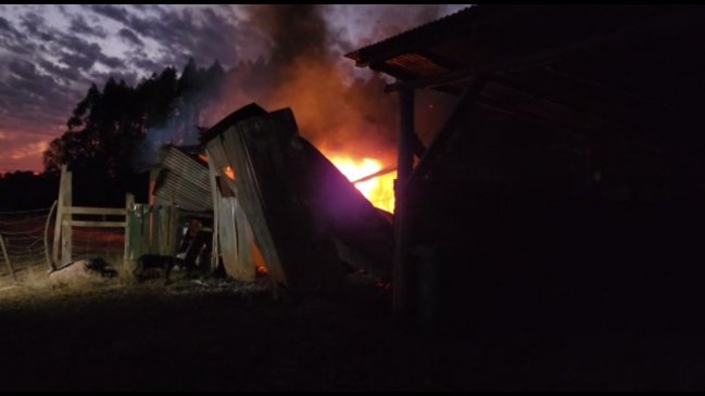 Casa y bodega fueron quemadas en atentado a predio entre Curacautín y Victoria