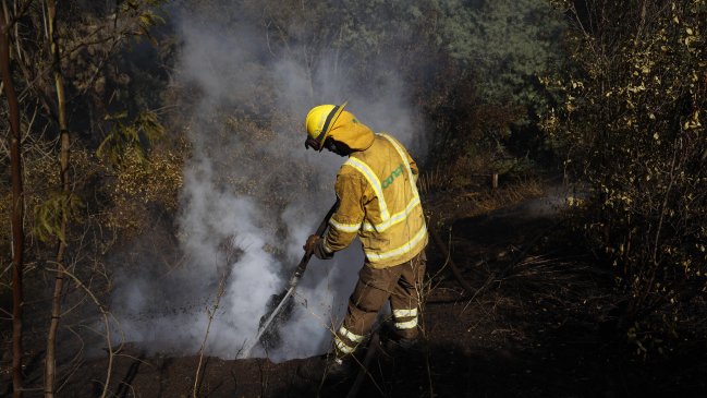  Conaf: Sólo 4,9 hectáreas de parques nacionales se vieron afectados por los incendios forestales  