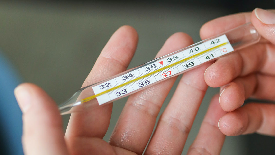 Bolivia reporta la primera muerte por fiebre amarilla en 19 años