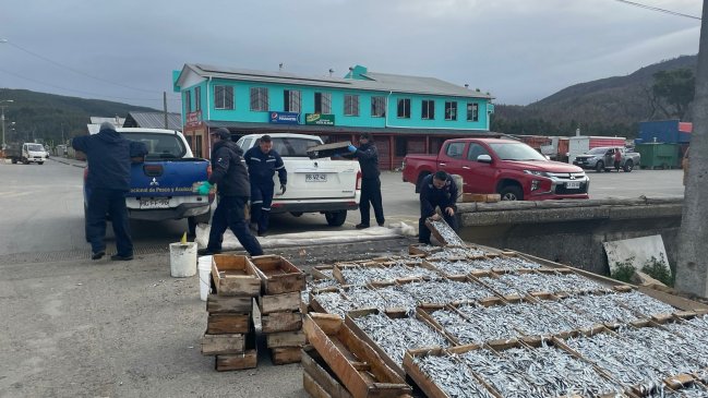 Funcionarios de Sernapesca fueron agredidos en Arauco: Les pegaron patadas y tiraron pescados