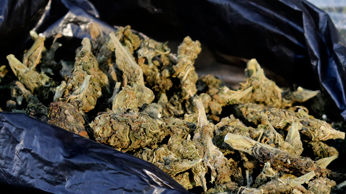 Policía ecuatoriana incautó una tonelada de marihuana: Pretendía llegar a Chile a través de Perú