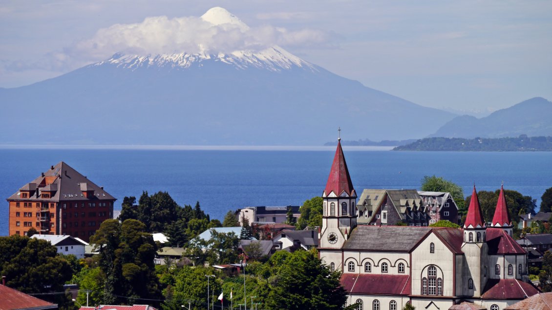 Puerto Varas: Ladrón que apuñaló a mujer para robarle un banano pasará siete años preso
