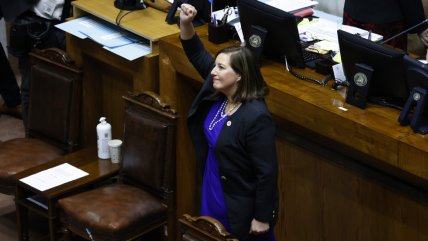   Paulina Vodanovic juró como senadora en reemplazo de Álvaro Elizalde 