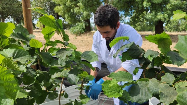 Fue inaugurado en Ñuble centro de investigación para disminuir uso de químicos en agricultura