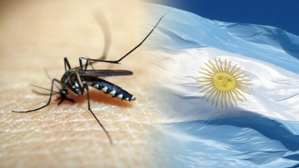   Brote de dengue enciende las alertas en Argentina 
