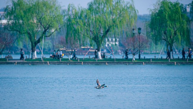 China lanza plan para protección de ecosistemas acuáticos