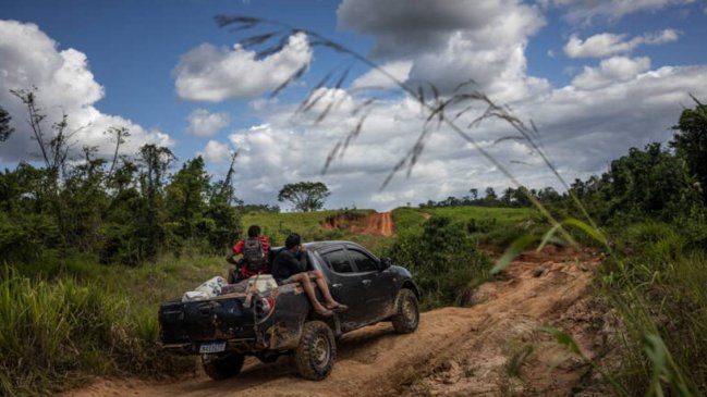 Cuatro mineros clandestinos murieron en un tiroteo con policías en tierra Yanomami de Brasil