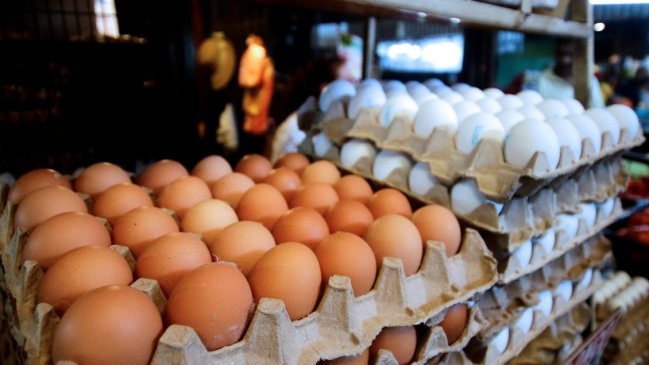  Productores de huevos piden medidas al gobierno ante avance de gripe aviar  