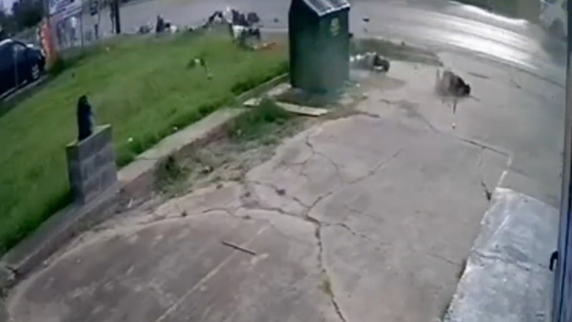 Al menos siete muertos por atropello frente a un centro de migrantes en EE.UU.